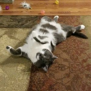 Meet your Posher, Amy